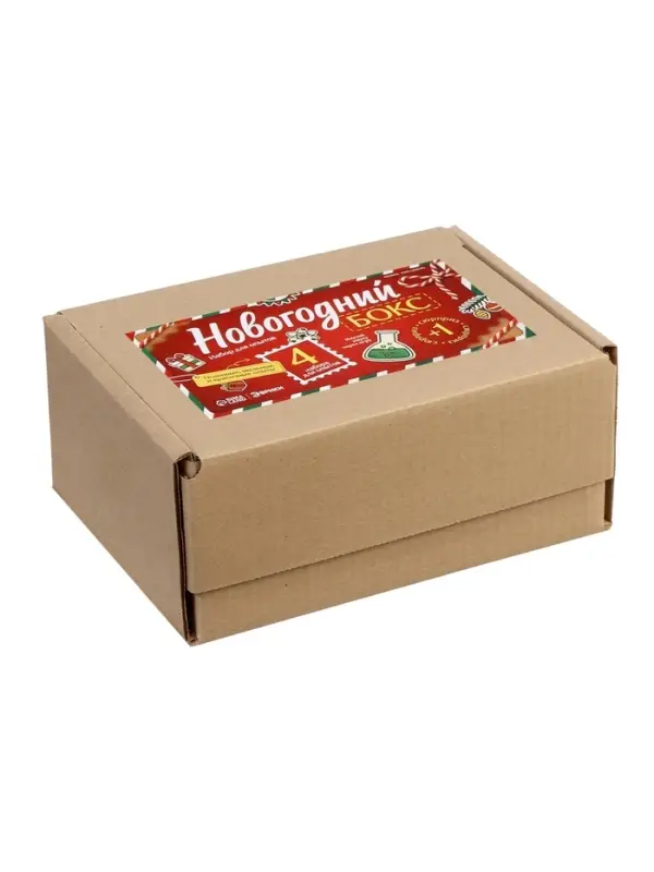 Набор для опытов «Новогодний бокс», 4 набора для опытов, 1 сюрприз