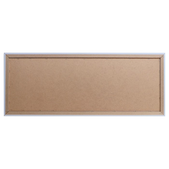 Картина  Картина "Фрукты-2" 42х107 см МИКС