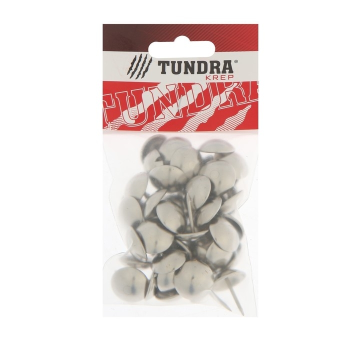 Гвозди ТУНДРА, декоративные, обивочные, 19х22 мм, хром, фасовка 50 шт Гвозди ТУНДРА, декоративные, обивочные, 19х22 мм, хром, фасовка 50 шт