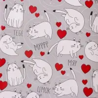 Бумага упаковочная глянцевая двухсторонняя «Коты», 70 х 100 см