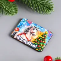 Набор новогодних магнитов 6 шт "Семейного тепла" 6х4,5 см