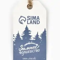 Ёлочная игрушка новогодняя &laquo;Носочек&raquo;, дерево, 9&times;10 см