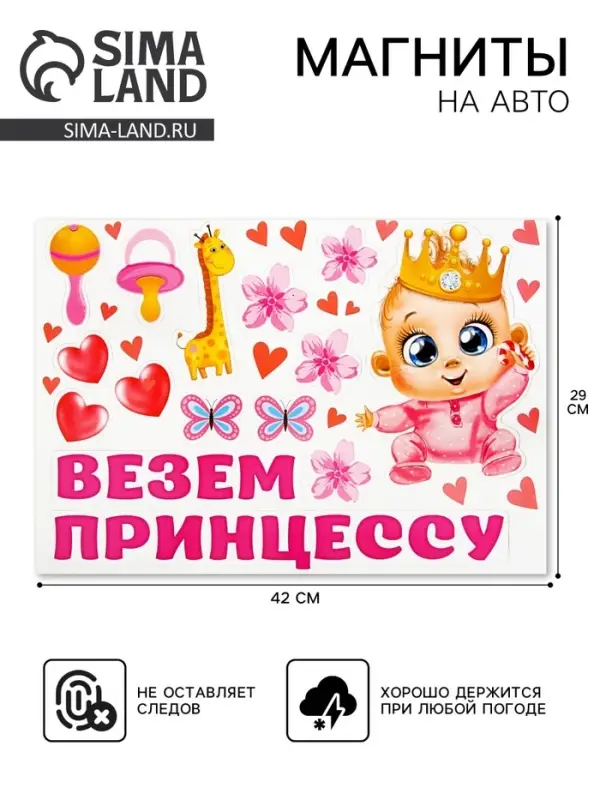 Набор магнитов на авто &laquo;Везем принцессу!&raquo;, на выписку