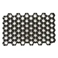 Решетка газонная 68 х 42 х3,2 см, МИКС