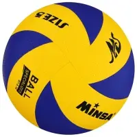 Волейбольный мяч MINSA, клееный, 8 панелей, р. 5, PVC