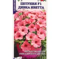 Семена Петуния Дивка Иветта F1 /Сотка/ 10шт/ лосос. h-35см d-6,5см/*500 Семена Петуния Дивка Иветта F1 /Сотка/ 10шт/ лосос. h-35см d-6,5см/*500