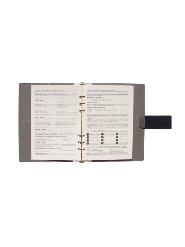 Органайзер на кольцах, А5, с хлястиком, 80л, линия, к/зам, Синий Органайзер на кольцах, А5, с хлястиком, 80л, линия, к/зам, Синий