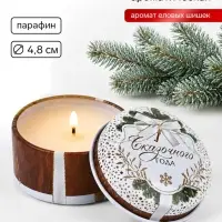 Свеча ароматическая, в железной банке &laquo;Сказочного года&raquo;, еловые шишки, d=4.8 см