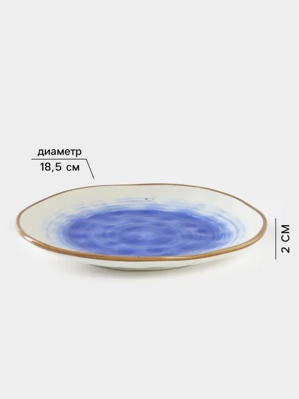 Тарелка Доляна &laquo;Космос&raquo;, d=18.5 см, фарфор, белая, синяя