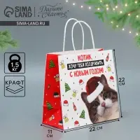 Пакет подарочный новогодний крафтовый &laquo;Котик&raquo;, 22&times;22&times;11 см