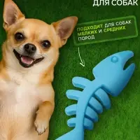 Жевательная игрушка для собак &laquo;Планктон&raquo;, 12.5 см, TPR, голубая