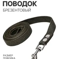 Брезентовый поводок, 2 м &times; 2 см, тёмно-зелёный