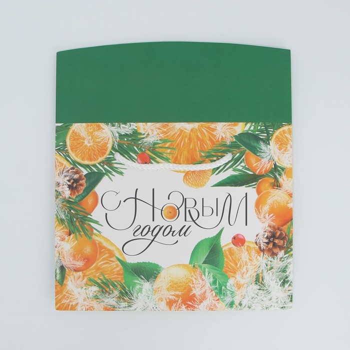 Пакет—коробка «Снежная история», 23 х 18 х 11 см Пакет—коробка «Снежная история», 23 х 18 х 11 см