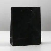 Пакет подарочный ламинированный, упаковка, &laquo;Чёрный&raquo;, S 12&times;15&times;5.5 см