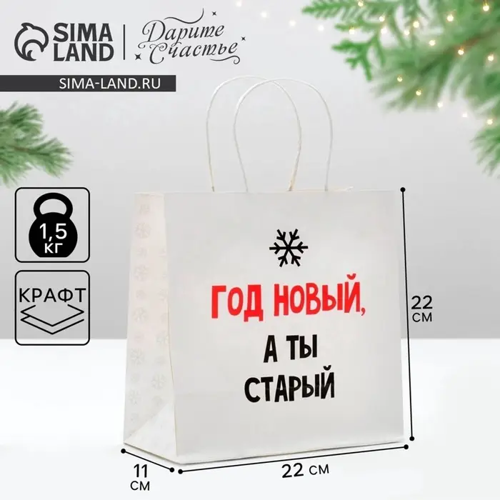 Пакет подарочный новогодний &laquo;Год Новый, а ты старый&raquo;, 22&times;22&times;11 см