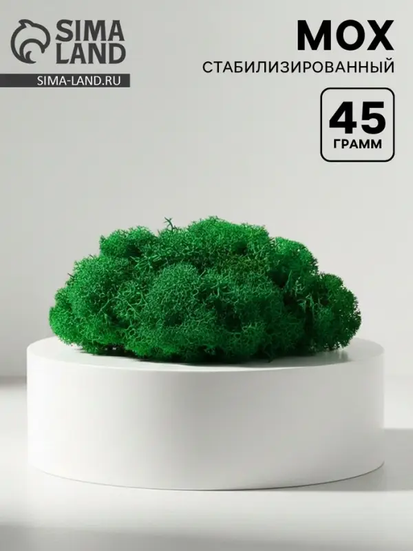 Мох стабилизированный &laquo;Ярко-зелёный&raquo; 45 г (&plusmn;5 г)