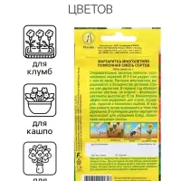 Семена Маргаритка Помпонная, смесь сортов   Дв Ц/П 0,05г