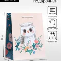 Пакет подарочный ламинированный &laquo;Мудрая совушка&raquo;, бежевый - бирюзовый, 18&times;22.3&times;10 см