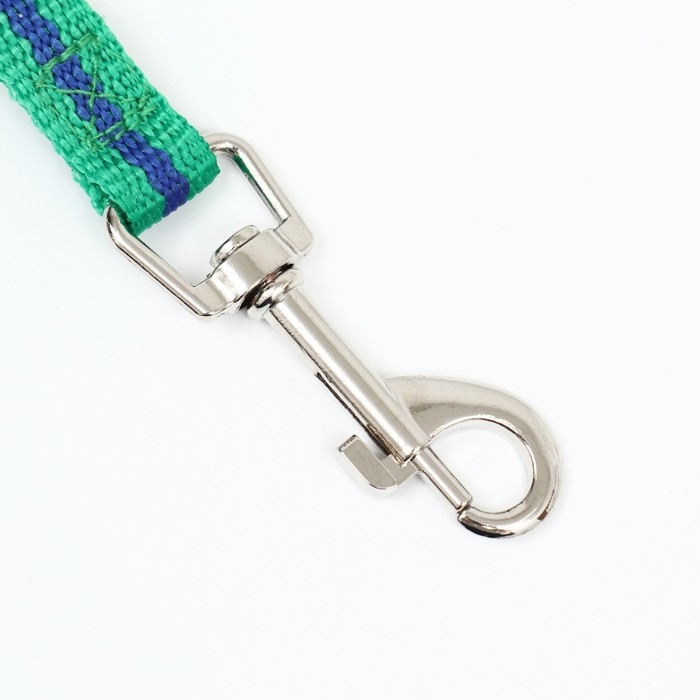 Поводок 1,2 м х 1,5 см, зелёно-синий