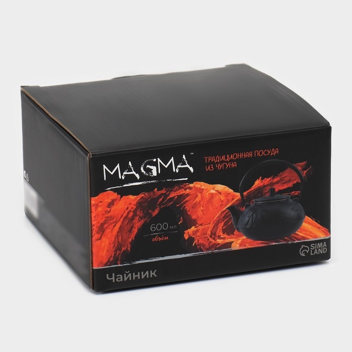 Чайник для плиты чугунный, 600 мл, с ситом, эмалированное покрытие внутри, цвет чёрный Чайник для плиты чугунный, 600 мл, с ситом, эмалированное покрытие внутри, цвет чёрный