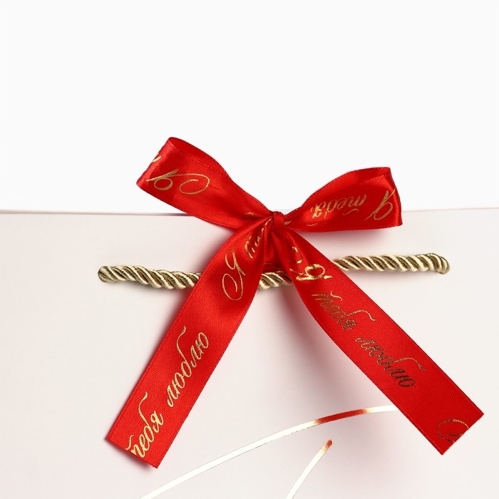 Пакет подарочный «Я люблю тебя», 42 х 27.5 х 12 см Пакет подарочный «Я люблю тебя», 42 х 27.5 х 12 см