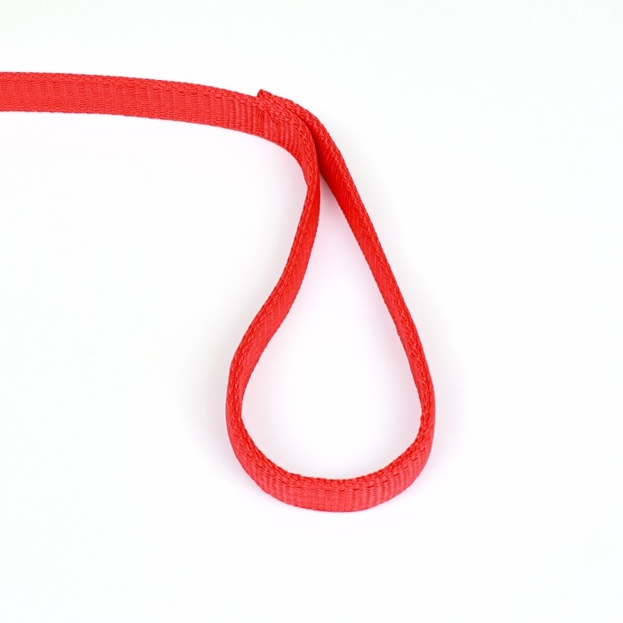 Поводок двухслойный с усиленным карабином, 3 м х 2 см, красный Поводок двухслойный с усиленным карабином, 3 м х 2 см, красный