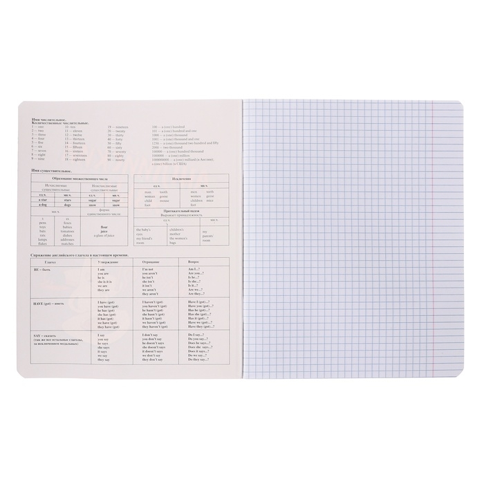 Тетрадь предметная "Пёс и Кот" 48 листов в клетку "Английский язык", обложка мелованный картон, металлизированная краска, ВД-лак, блок офсет