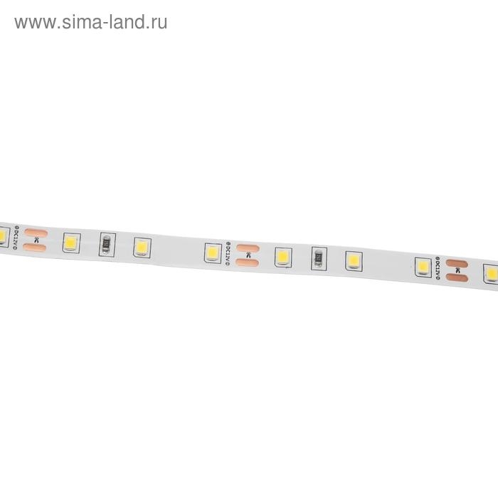 Светодиодная лента Ecola PRO 5 м, IP20, SMD5060, 60 LED/м, 11 Вт/м, 12 В, 4200К Светодиодная лента Ecola PRO 5 м, IP20, SMD5060, 60 LED/м, 11 Вт/м, 12 В, 4200К
