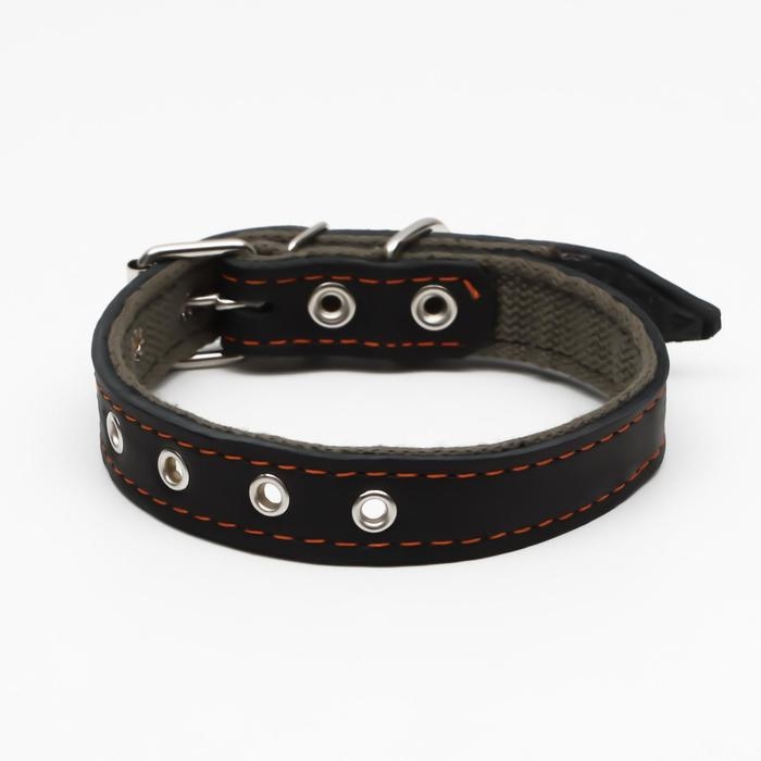 Ошейник комбинированный кожа/брезент, безразмерный, 54 х 2.5 см, ОШ 17-45 см, чёрный Ошейник комбинированный кожа/брезент, безразмерный, 54 х 2.5 см, ОШ 17-45 см, чёрный