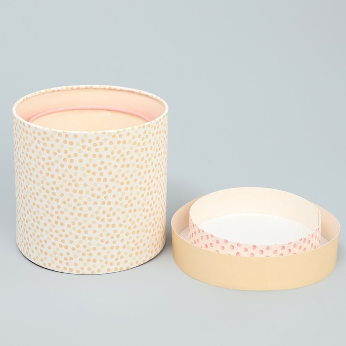 Набор шляпных коробок 2 в 1, упаковка подарочная, «Точки», 13 х 13 см, 16 х 16 см Набор шляпных коробок 2 в 1, упаковка подарочная, «Точки», 13 х 13 см, 16 х 16 см