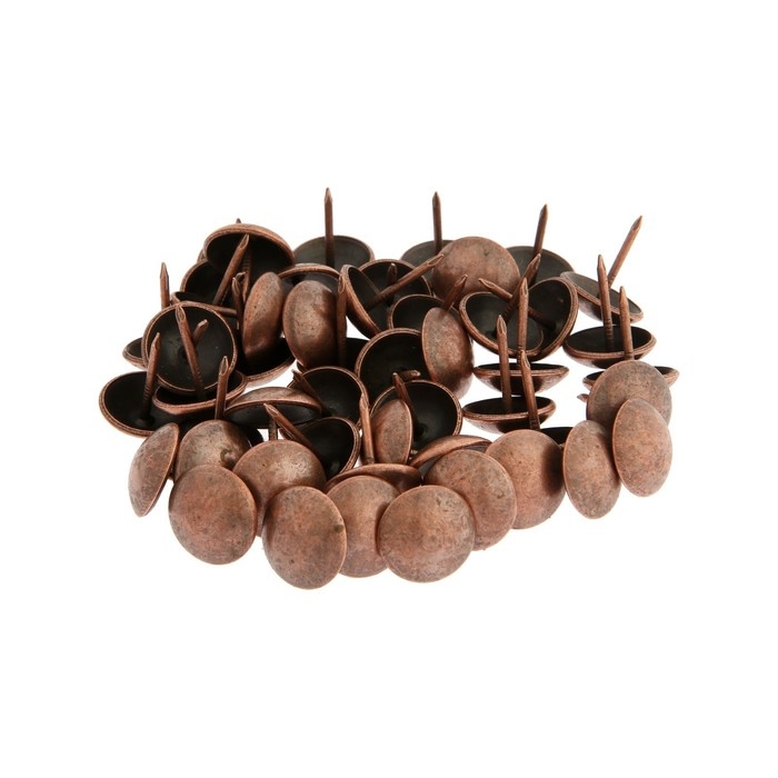 Гвозди ТУНДРА, декоративные, обивочные, 19х22 мм, медь, фасовка 50 шт Гвозди ТУНДРА, декоративные, обивочные, 19х22 мм, медь, фасовка 50 шт