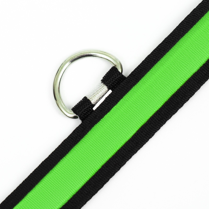 Ошейник с подсветкой Flash 3 режима свечения размер L, ОШ 45-52 х 2,5 см зелёный Ошейник с подсветкой Flash 3 режима свечения размер L, ОШ 45-52 х 2,5 см зелёный