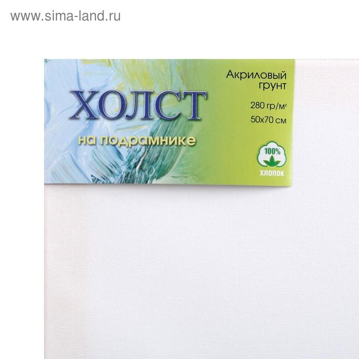 Холст на подрамнике, хлопок 100%, 50 х 70 х 1.8 см, акриловый грунт, мелкозернистый, 280 г/м² Холст на подрамнике, хлопок 100%, 50 х 70 х 1.8 см, акриловый грунт, мелкозернистый, 280 г/м²