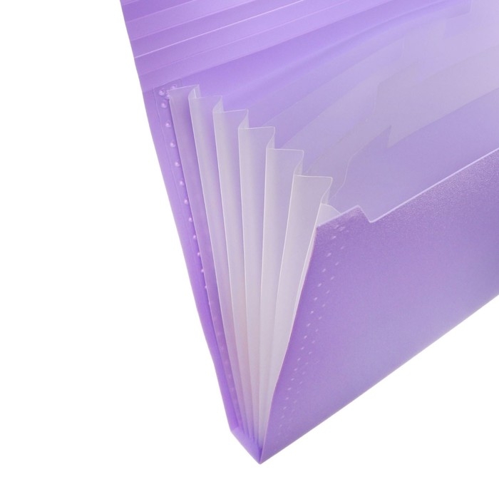 Папка картотека А4, Calligrata Папка картотека А4, Calligrata "Акварель", 6 отделений, пластиковая, 700 мкм, лавандовая, резинка чёрная