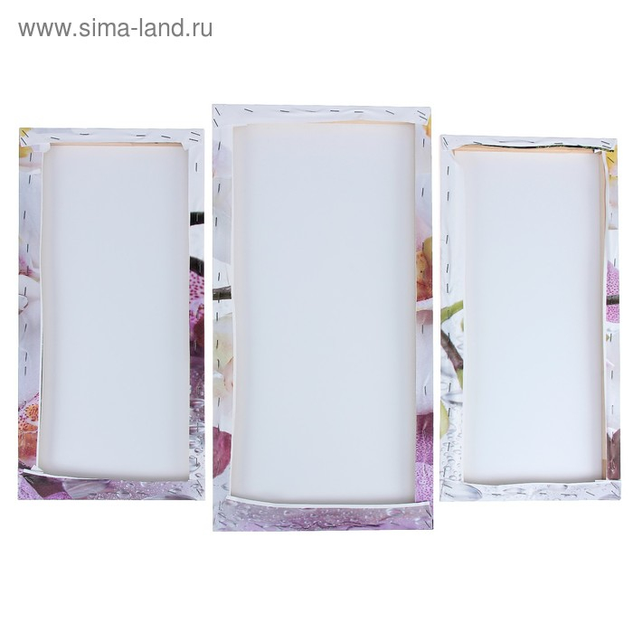 Модульная картина  Модульная картина "Краповая орхидея"  (2-25х52; 1-30х60) 60х80 см