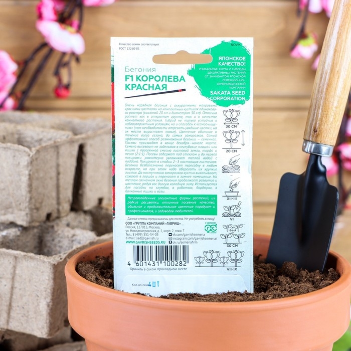 Семена цветов Бегония  Семена цветов Бегония "Королева красная", F1,  вечноцветущая, серия Саката, 4 шт