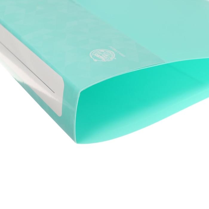 Папка на 2 кольцах А4 Calligrata, 40мм, 700мкм, карман на торце, ледяной зеленый Папка на 2 кольцах А4 Calligrata, 40мм, 700мкм, карман на торце, ледяной зеленый