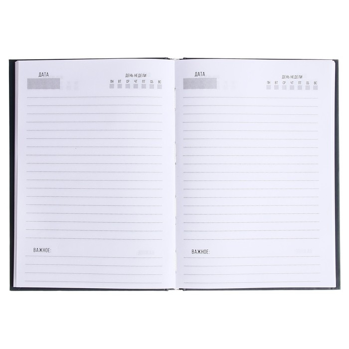 Ежедневник недатированный на сшивке А5 128 листов, картон 7БЦ, матовая ламинация, фольга Ежедневник недатированный на сшивке А5 128 листов, картон 7БЦ, матовая ламинация, фольга "Символика РФ"