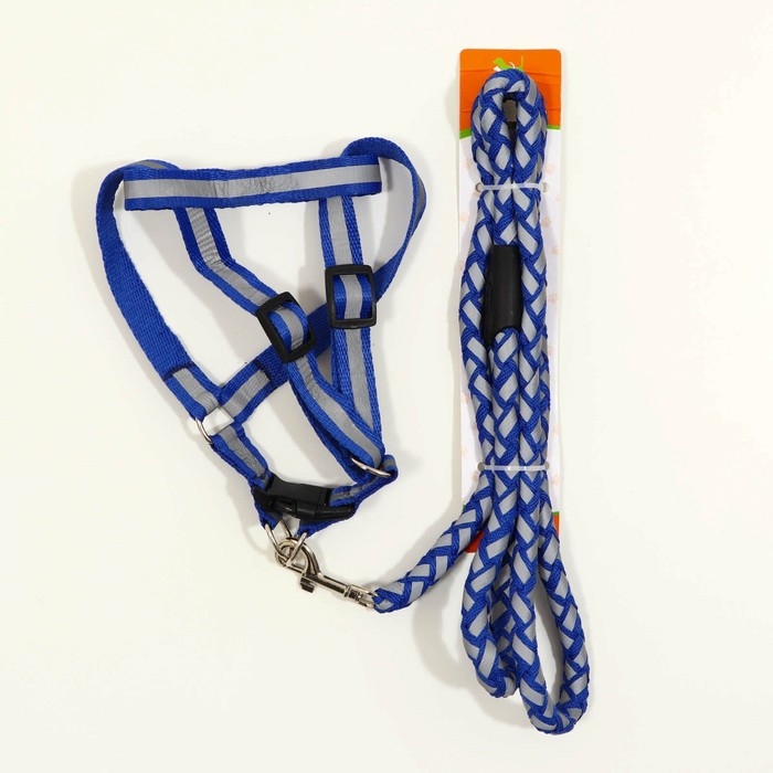 Комплект  Комплект "Плетенка", флуоресцентный, поводок 115 х 1 см, ОГ 32-48 х 1,5 см, синий