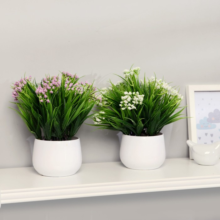 Бонсай в горшке "Статица" 9х21 см, микс