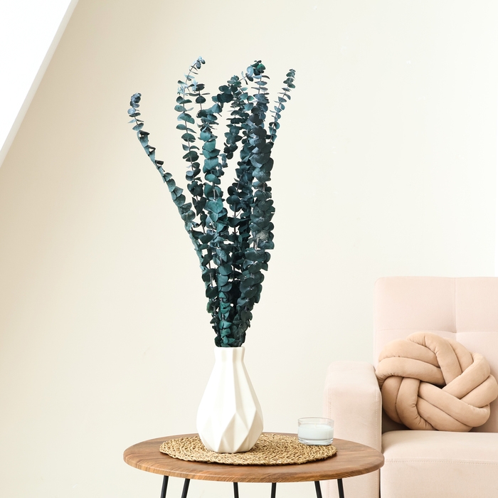 Сухоцвет «Эвкалиптовое дерево», голубой, 10 шт. в упаковке Сухоцвет «Эвкалиптовое дерево», голубой, 10 шт. в упаковке