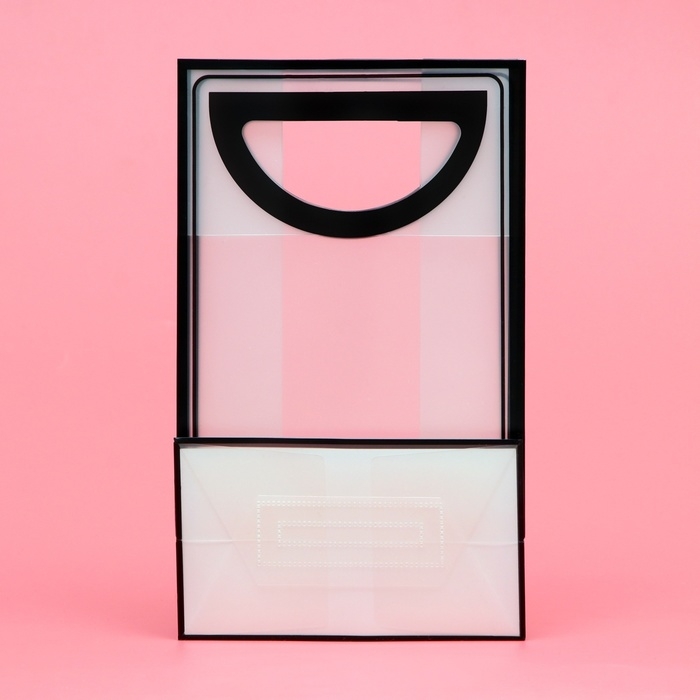 Пакет ПП с вырубной ручкой, прозрачный, 25 х 19 х 9 см, черный Пакет ПП с вырубной ручкой, прозрачный, 25 х 19 х 9 см, черный