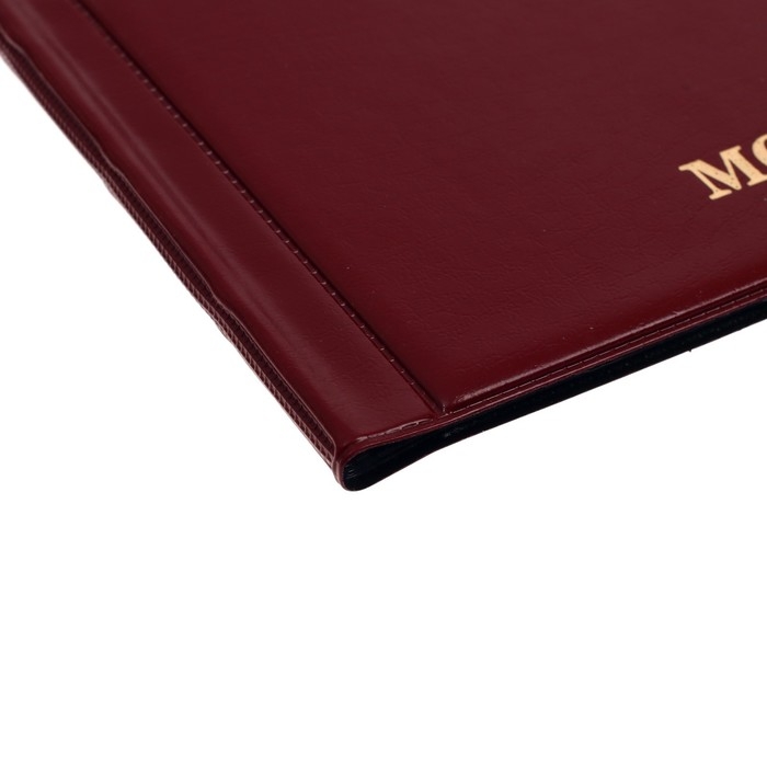 Альбом для монет 125 х 185 мм Calligrata, на 192 монеты, ячейка 26 х 29 мм, 8 листов, обложка ПВХ, бордовый Альбом для монет 125 х 185 мм Calligrata, на 192 монеты, ячейка 26 х 29 мм, 8 листов, обложка ПВХ, бордовый