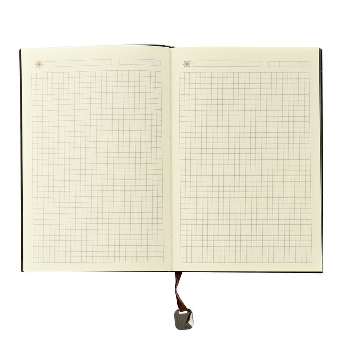 Ежедневник недатированный А5,116 листов в клетку, тонированный срез, обложка Ежедневник недатированный А5,116 листов в клетку, тонированный срез, обложка " ЛАЙТ " МИКС