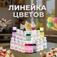 Смесь для окрашивания пищевых продуктов жидкая "Черная", 30 г