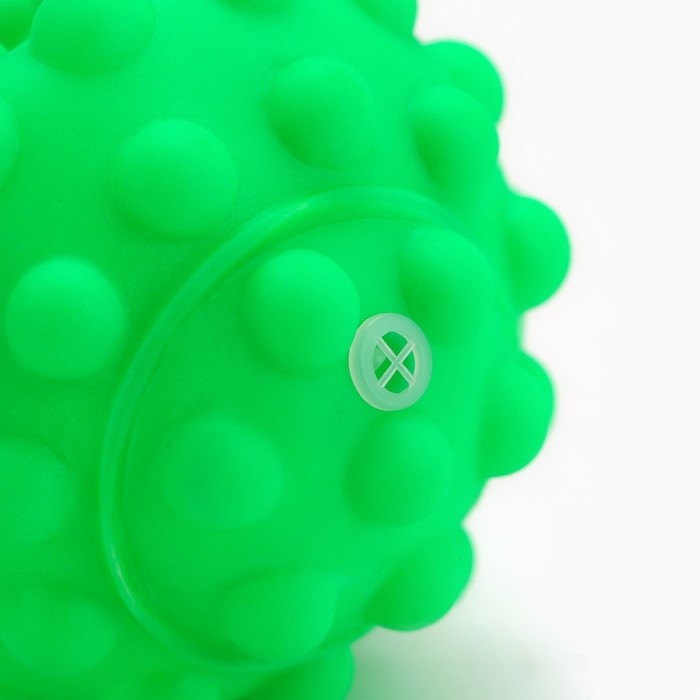 Игрушки для собак. Мячик с пищалкой «Зелёный», d=6,5 см Игрушки для собак. Мячик с пищалкой «Зелёный», d=6,5 см