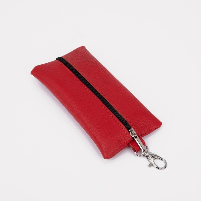 Ключница на молнии, длина 15 см, кольцо, карабин, цвет красный Ключница на молнии, длина 15 см, кольцо, карабин, цвет красный