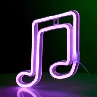 Неоновая вывеска &laquo;Ноты&raquo; 19&times;21 см, батарейки ААх3 (не в комплекте), USB, свечение розовое