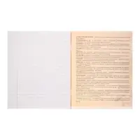 Предметная тетрадь по литературе Calligrata &laquo;Комикс Аниме&raquo;, 48 листов, в линейку, со справочным материалом, обложка из мелованного картона