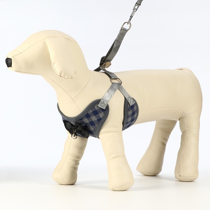 Комплект амуниции с мягкой шлейкой, XL, поводок 120 х 1,5 см, ОШ 38-52 см, ОГ 42-60 см, серый   7119 Комплект амуниции с мягкой шлейкой, XL, поводок 120 х 1,5 см, ОШ 38-52 см, ОГ 42-60 см, серый   7119